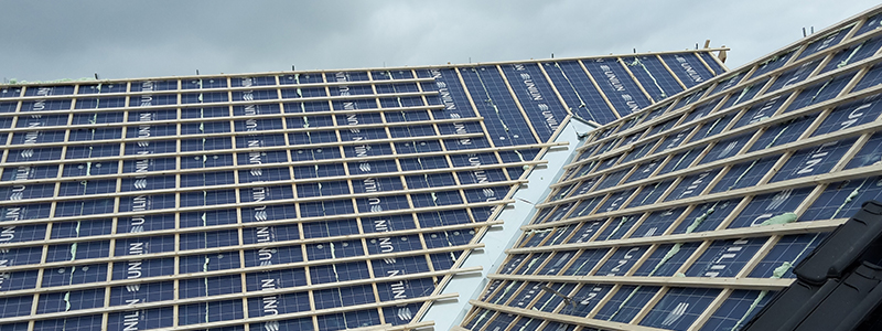 timmermans-timmerman timmermans-timmerman